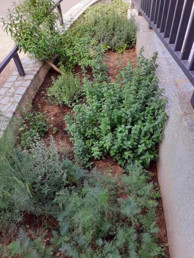 Apartments Morje Umag Dış mekan fotoğraf
