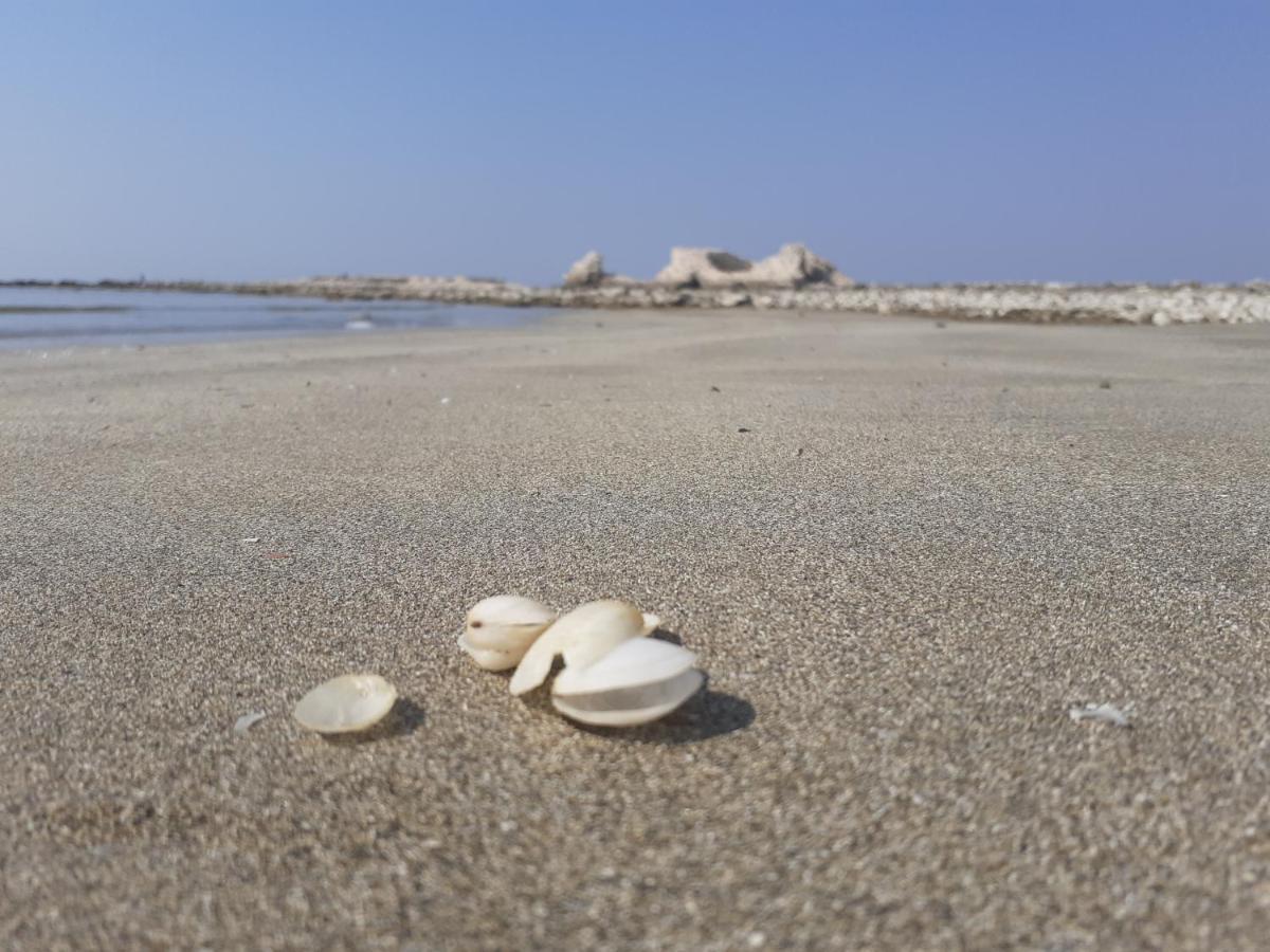Apartments Morje Umag Dış mekan fotoğraf