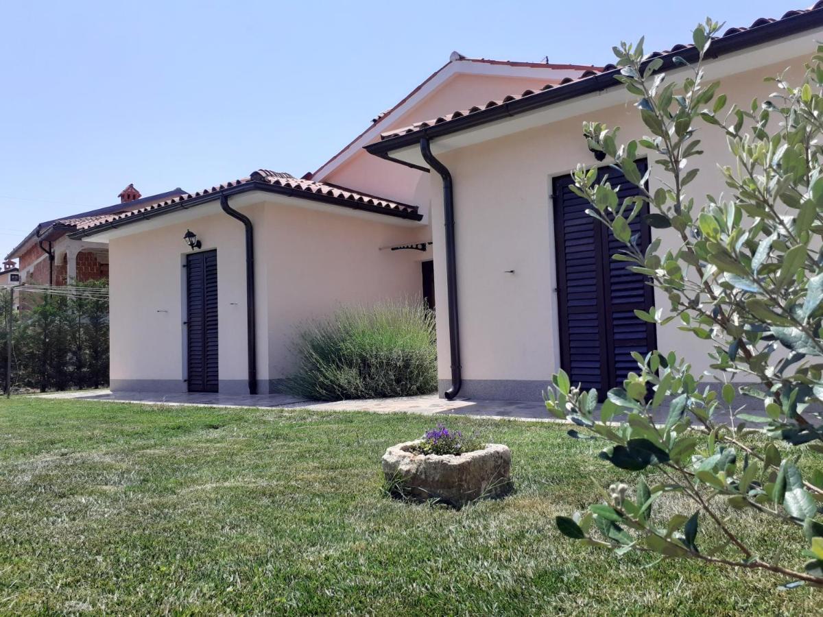 Apartments Morje Umag Dış mekan fotoğraf